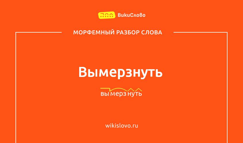 Морфемный разбор слова вымерзнуть