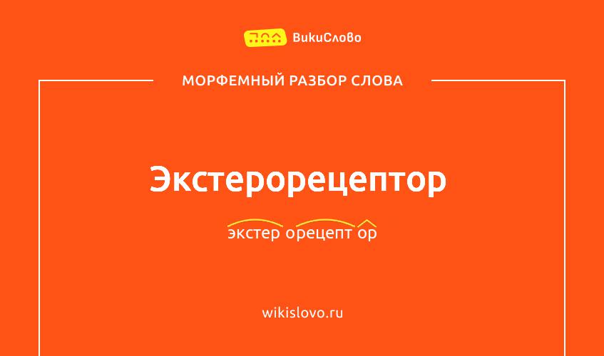 Морфемный разбор слова экстерорецептор