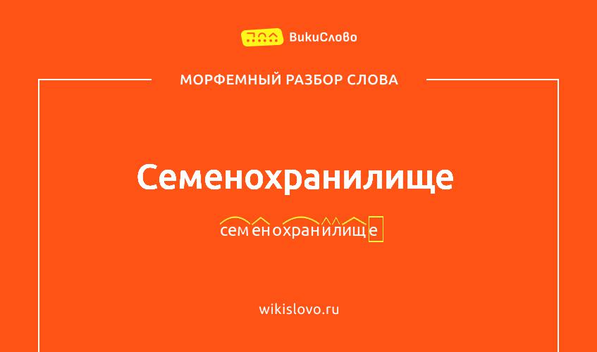 Морфемный разбор слова семенохранилище