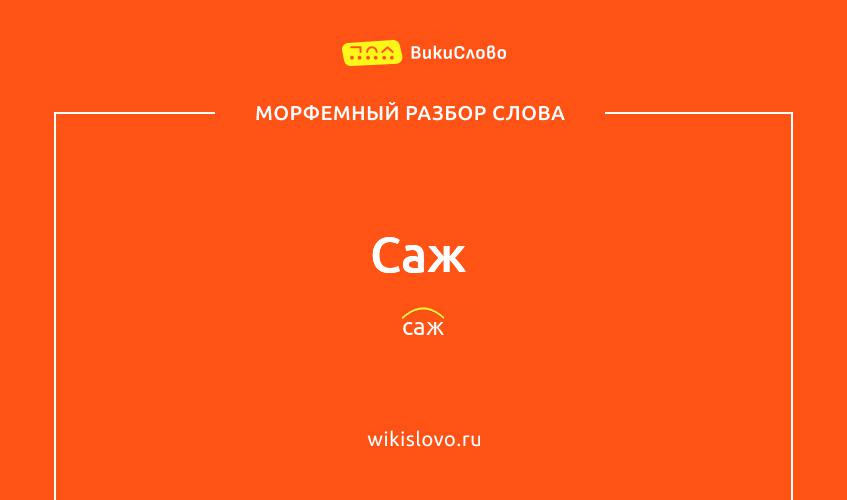 Морфемный разбор слова саж