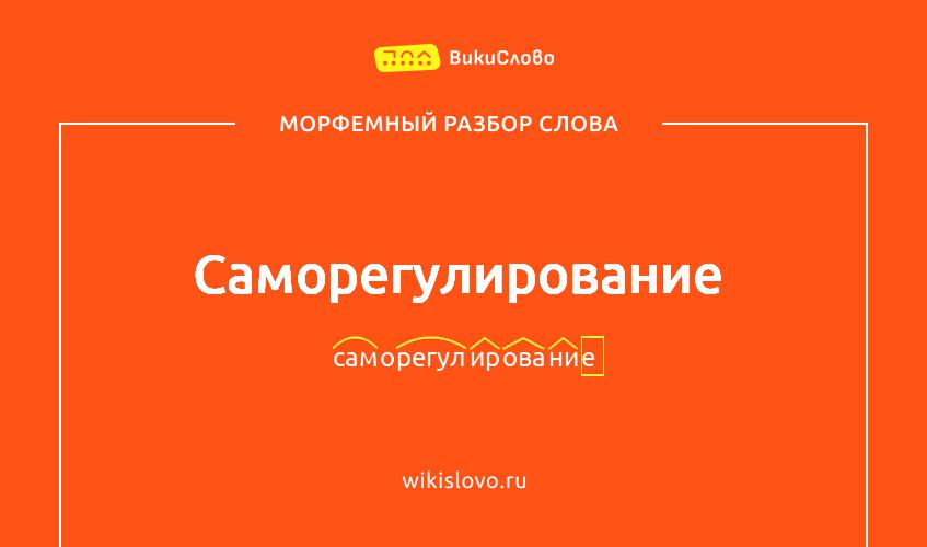 Морфемный разбор слова саморегулирование