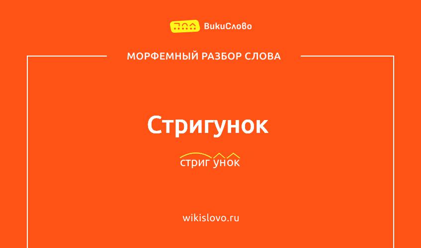 Морфемный разбор слова стригунок