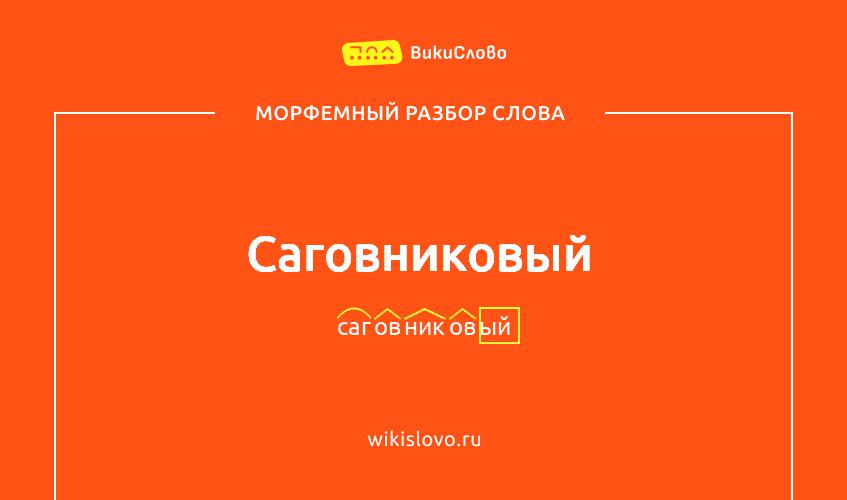 Морфемный разбор слова саговниковый