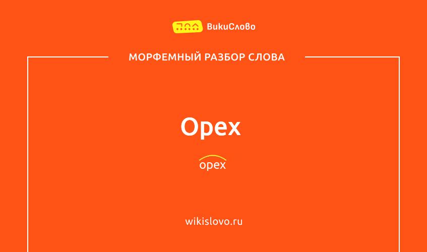 Морфемный разбор слова орех