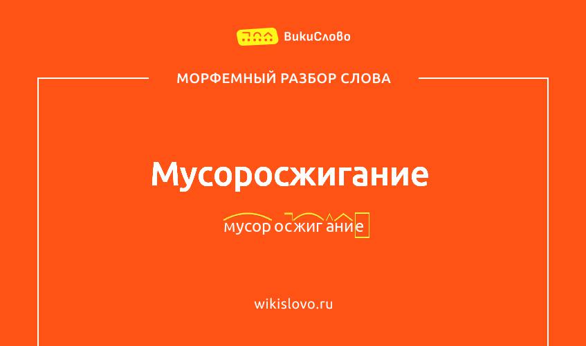 Морфемный разбор слова мусоросжигание