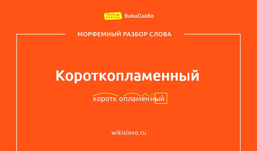 Морфемный разбор слова короткопламенный