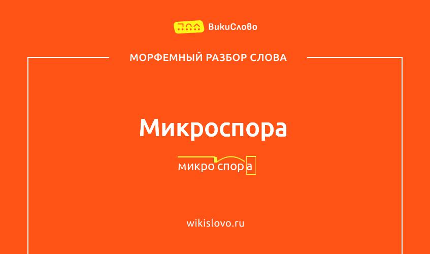 Морфемный разбор слова микроспора