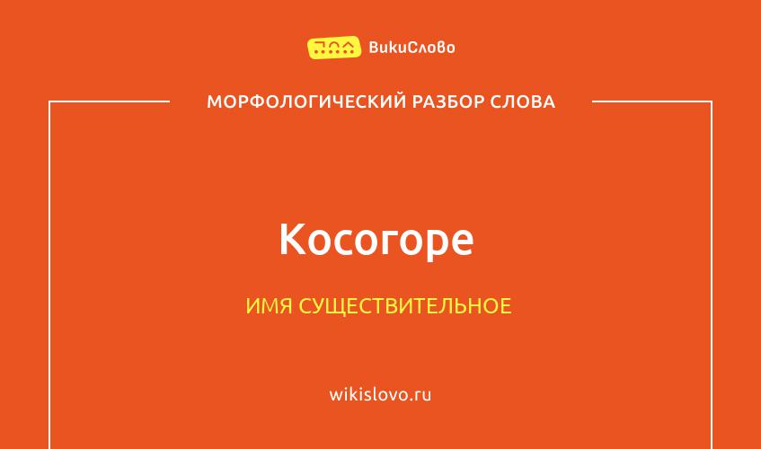 Морфологический разбор слова косогоре