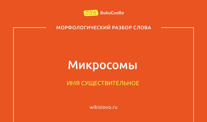 Морфологический разбор слова микросомы