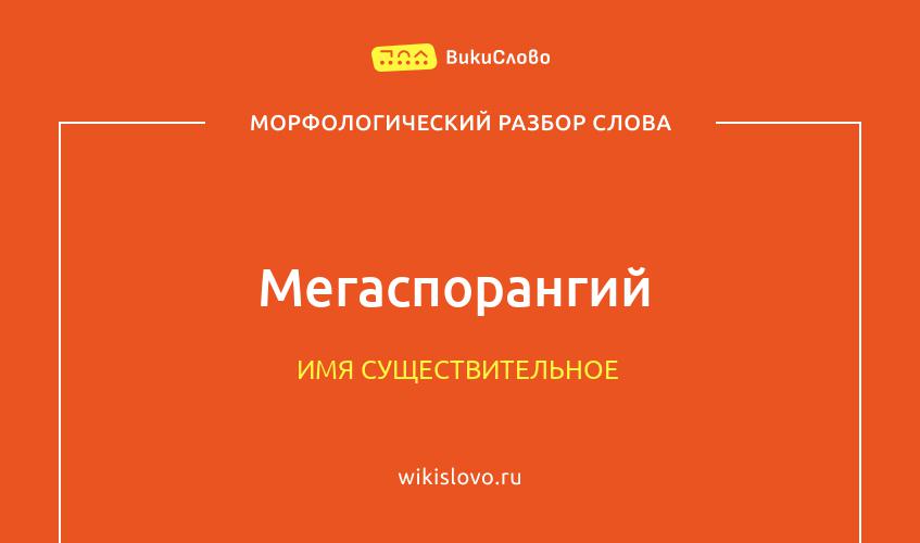 Морфологический разбор слова мегаспорангий