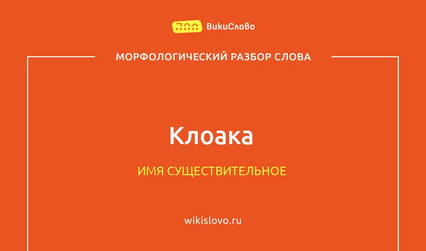 Морфологический разбор слова клоака