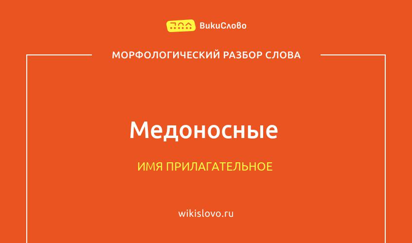 Морфологический разбор слова медоносные