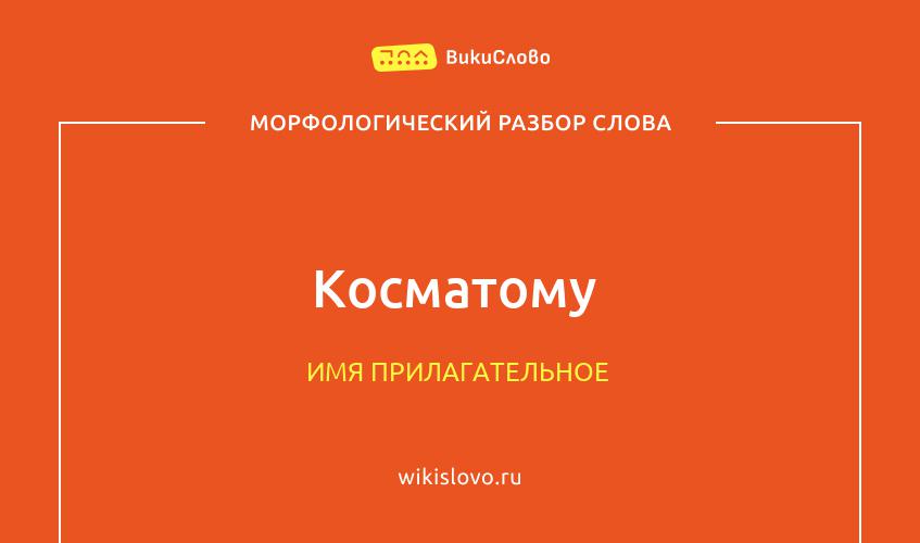 Морфологический разбор слова косматому