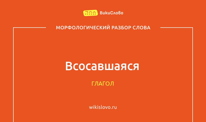 Морфологический разбор слова всосавшаяся