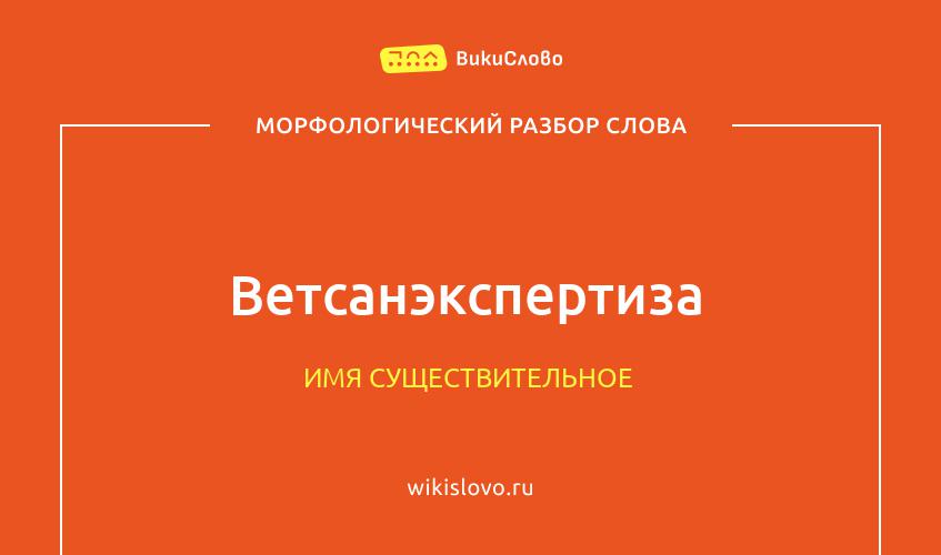 Морфологический разбор слова ветсанэкспертиза