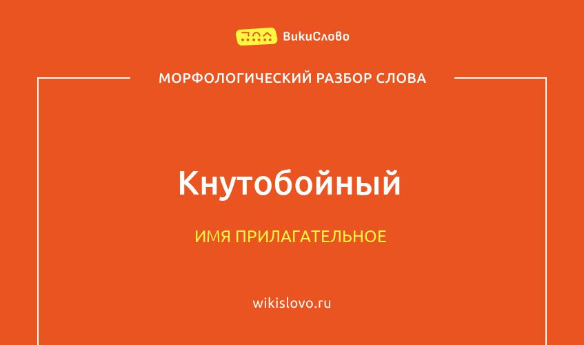 Морфологический разбор слова кнутобойный