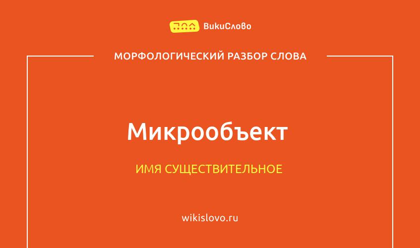 Морфологический разбор слова микрообъект