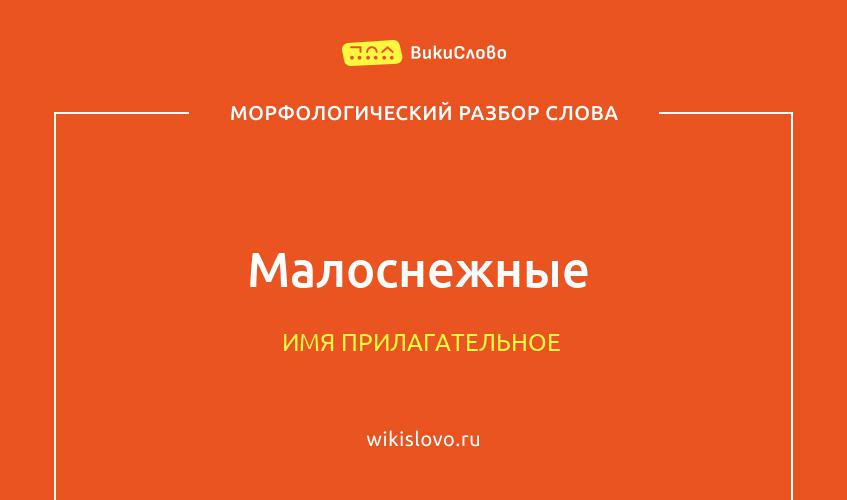 Морфологический разбор слова малоснежные