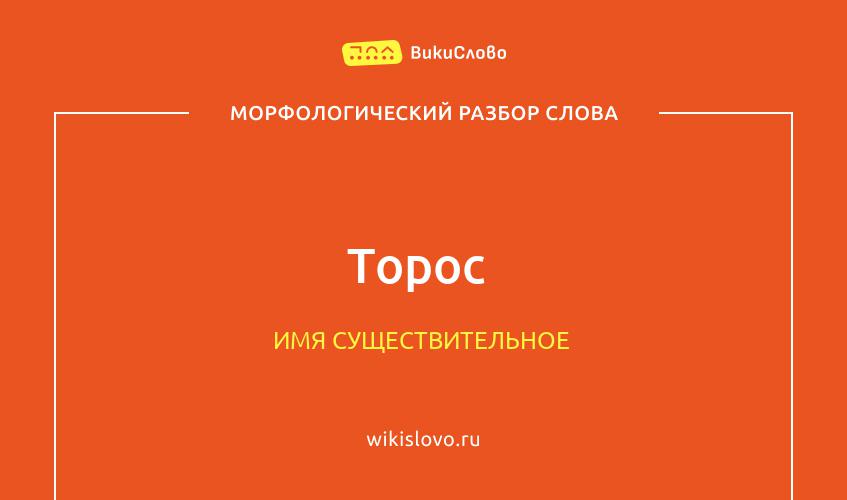 Морфологический разбор слова торос