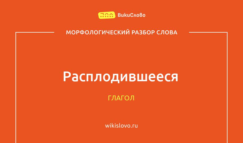 Морфологический разбор слова расплодившееся