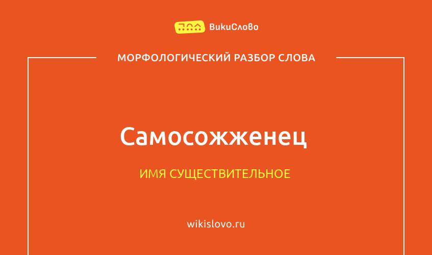 Морфологический разбор слова самосожженец