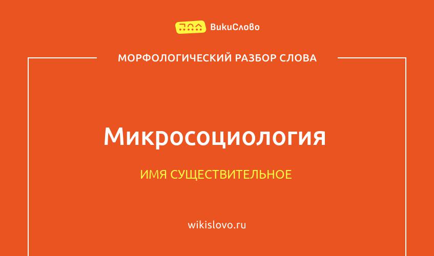 Морфологический разбор слова микросоциология