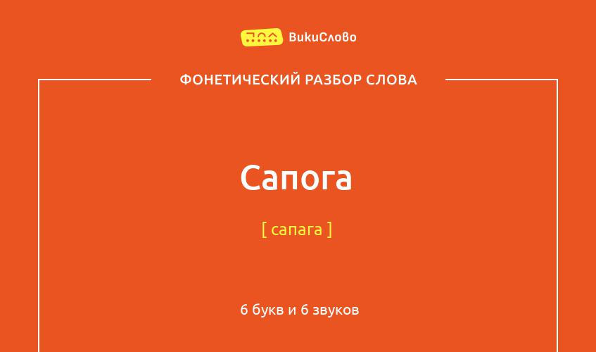 Фонетический разбор слова сапога